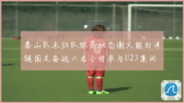 泰山队未归队球员动态谢文能刘洋随国足备战六名小将参与U23集训