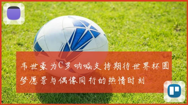 韦世豪为C罗呐喊支持期待世界杯圆梦愿景与偶像同行的热情时刻